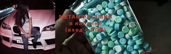 шишки Горняк