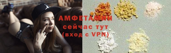 шишки Горняк
