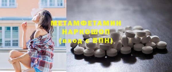 шишки Горняк