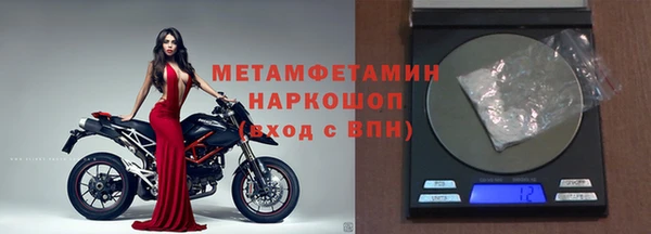 шишки Горняк