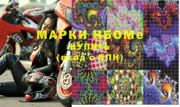 шишки Горняк