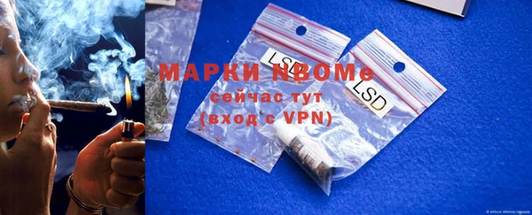 шишки Горняк