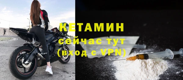 шишки Горняк