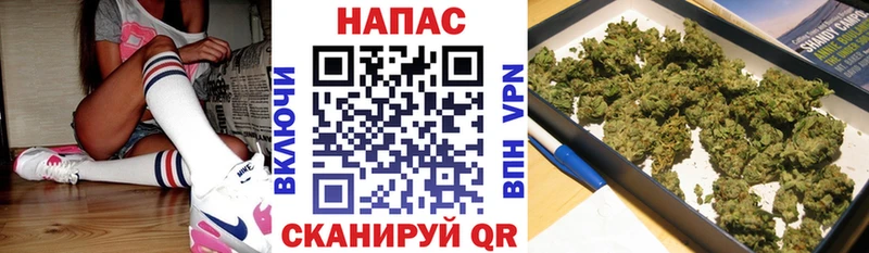 Канабис индика  Купить где  Холмск 